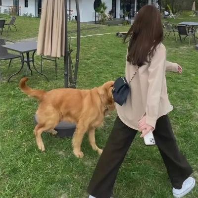 红尘孽债