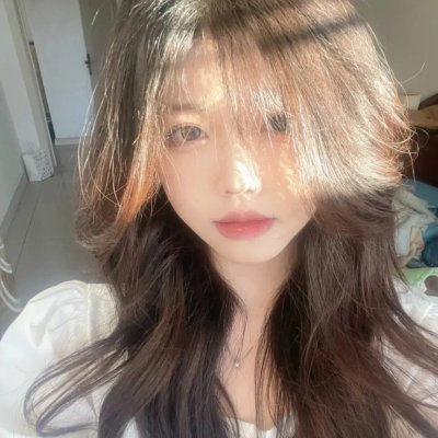 我的丫鬟是总监
